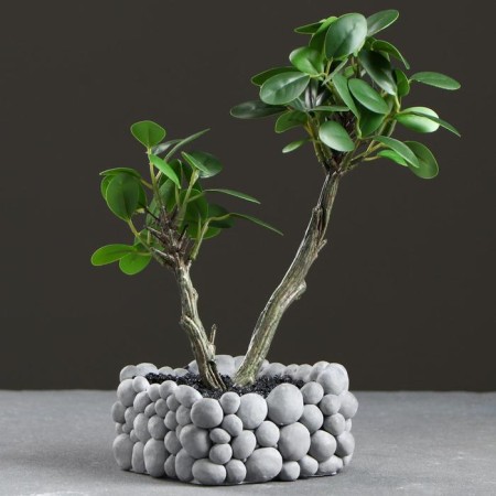 Kashpo "Bonsai" 10.5 x 10.5 x 5.5 cm