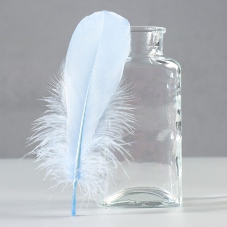 A set of feathers of the goose 13-18 cm, 20 pcs, light blue