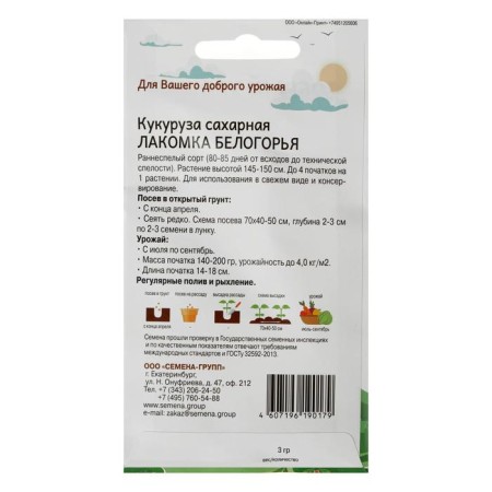 Corn seeds Tong of Belogorye 3 g-1