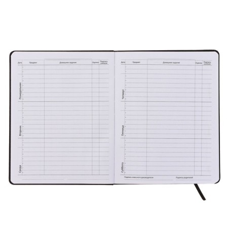 Universal diary for grade 1-11 Nerves, integral cover, artificial leather, silkography, liesse, 80 g/m2-4