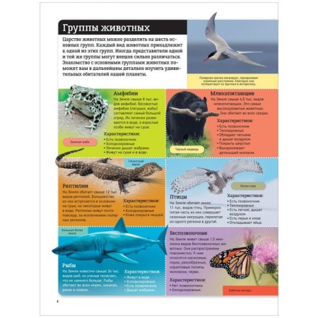 Детский атлас. Животные мира. Травина И.В.-6