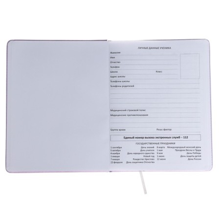 Universal diary for grade 1-11 Confidential, hard cover, artificial leather, foam rubber, liesse, 80 g/m2-3