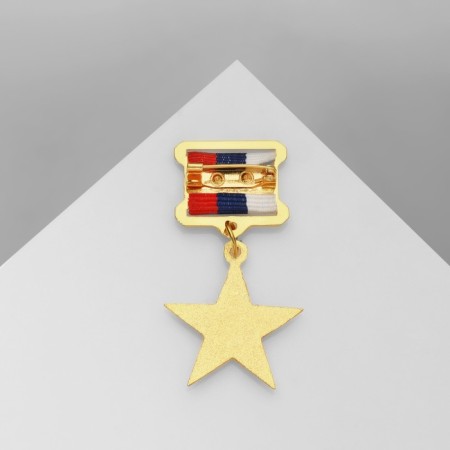 Brooch "February 23" Order, colored in gold-2