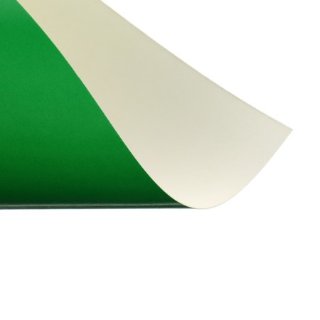 Cardboard of color A4 10 sheets, 10 colors "Magic" shaken, one -werved, 200g/m² Calligrata, in the folder-2