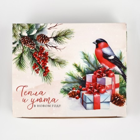 Box the team "heat and comfort", 12 x 10 x 5 cm, New Year-4