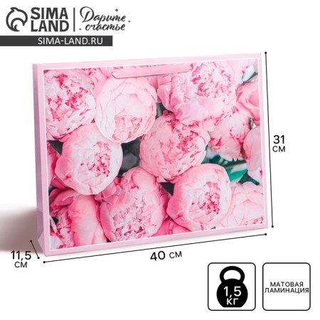 Gift Laminated horizontal package, packaging, for you, l 40 x 31 x 11.5 cm