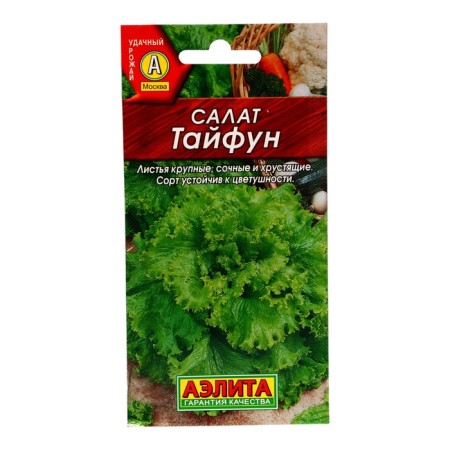 Seeds salad typhoon leaf c/n 0.5g