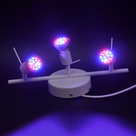 Wall LED lamp for dositing plants "Talita" 30W-10