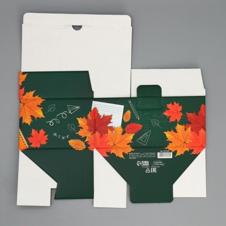 Box Gift team, packaging, “class teacher”, 22 x 15 x 10 cm-6