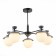 Ceiling EVOLUCE lamp. Sle220202-05. Genova. 5x5 watts, G9, 4000k, 67x67x46 cm, black color, gray