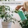 Protective lattice for indoor plants, d = 19.5 cm, plastic