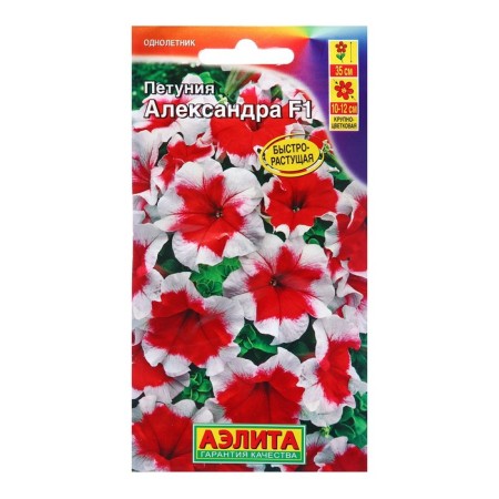 Petunia seeds Alexander F1 Large -flowered ONE (dragee in a test tube) c/n 7 pcs