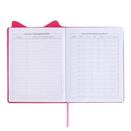 School diary for grades 1-11, boss spitz, firm covered with foam, artificial leather, curly cutting, liesse, universal cheat sheet, 48 sheets, block 80g/m2-4