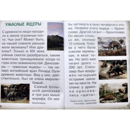 Животные земли. Прошлое и будущее. Колпакова О.-5