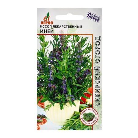 Seeds of Issop "hoar" 0.1g*
