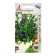 Seeds of Issop "hoar" 0.1g*