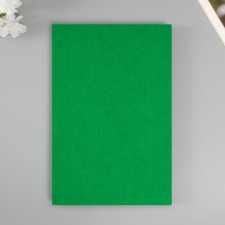 Hard felt 2mm 20x30 cm ts. 705 Green