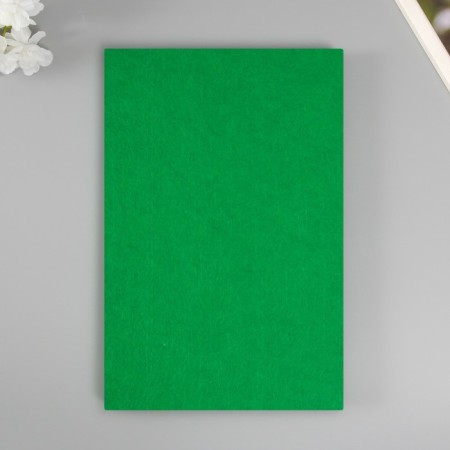 Hard felt 2mm 20x30 cm ts. 705 Green