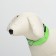 Collar with backlight size S, Osh 35-43 x 2.5 cm, 3 glow modes Green