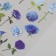 Stickers for creativity PVC "Blue Flowers" set 2 sheets 10x15 cm