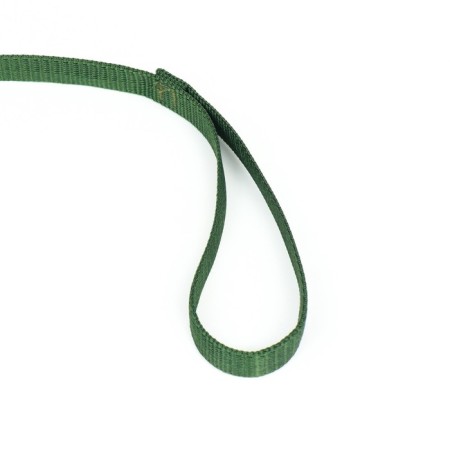 Leash 5 m x 1.5 cm, green-2