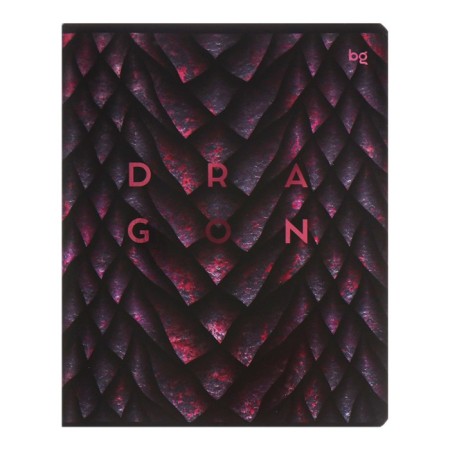 Notebook 48 sheets of Dragon-Like cage, covered cardboard, metallization, mix-6