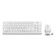 Keyboard + Mouse A4Tech FSTYLER FG1010 CLAV: White/Gray Mouse: White/Gray USB wireless M 10046