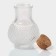 A set of glass jars for spices with a cork lid "Parfa", 50 ml, 5.5 × 5.5 × 7 cm, 12 pcs