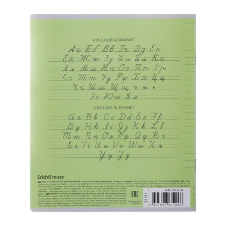 Notebook of 24 sheets in the Erichkrause cage "Coverpro Classic", plastic cover, green-9