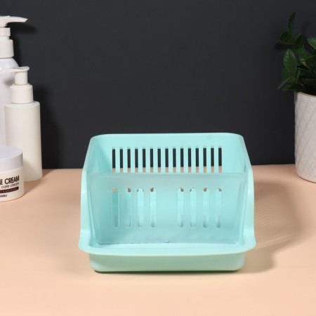 Organizer for storing cosmetic supplies "Prestige", 2 sections, 23 × 16.1 cm, mint color-9