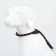 Collar - dog noisy, 1.2 x 60 cm, black and red