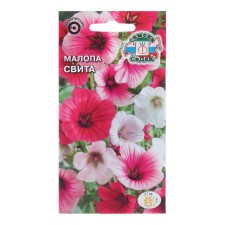 Flower seeds Malopa 