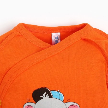 Buying nursery, orange color, height 52-62cm-1