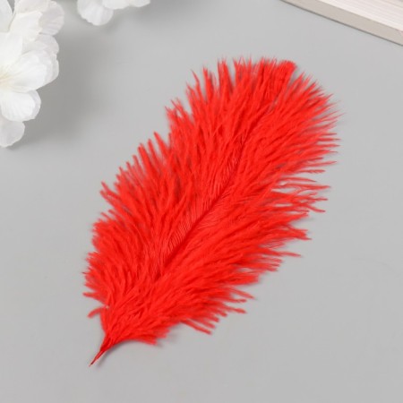 Decorative ostrich feather "Red" h = 15-20 cm-1