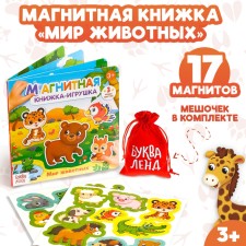 Magnetic book-toy 