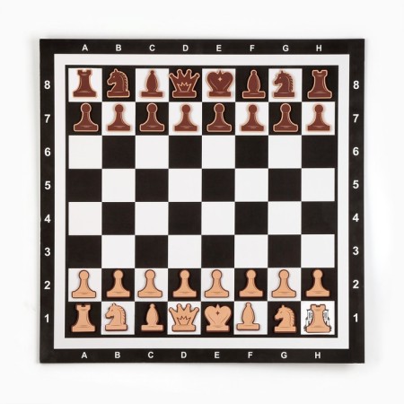 Demonstration chess 60 x 60 cm "Game time" on a magnetic board, 32 pcs, black-4