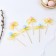 Swap eggs with a bow, mix, set 6 pcs.