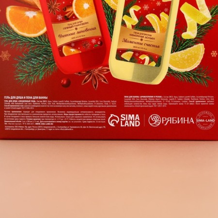 Gift set New Year: shower gel and bath foam, 2x300 ml, New Year-8
