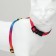 A set for cats "Rainbow", width 1 cm, Osh 16.5-27, OG 21-35 cm, leash 120 cm
