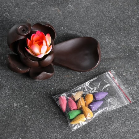 Set of incense on the stand "Two lotuses" 12x17x7cm-4