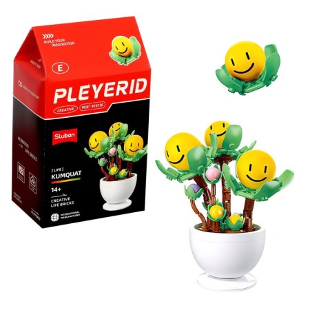 Designer "Flowers in a pot", 6 species, mix-1