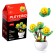 Designer "Flowers in a pot", 6 species, mix
