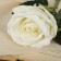 Artificial flowers "Venezuelan rose" 8x23 cm, white