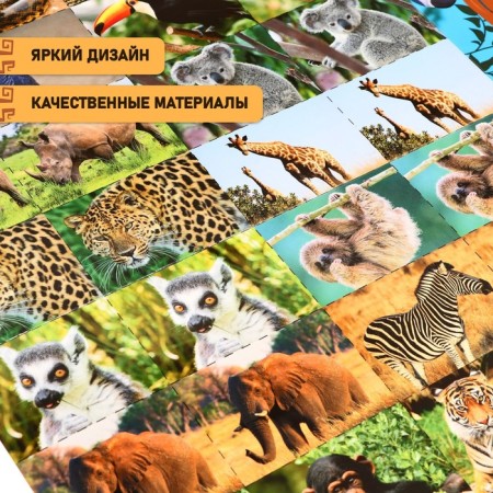 Board game "Armor. Traveling by jungle "-6
