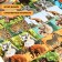 Board game "Armor. Traveling by jungle "