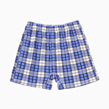 Men's panties with a button, the color of blue-white/cage, size 50