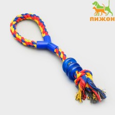 Toiner toy 