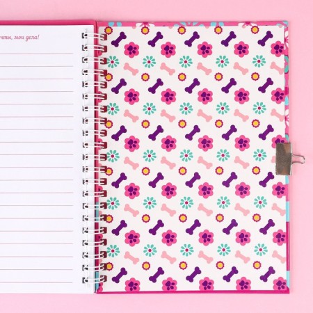 Gift set: Notebook "Sky and Everest" on the lock and pen, PAW PATROL-6