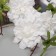 Artificial flowers "Carnival" 66x7 cm, white