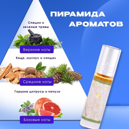 Men's oil perfumes, 6 ml-1
